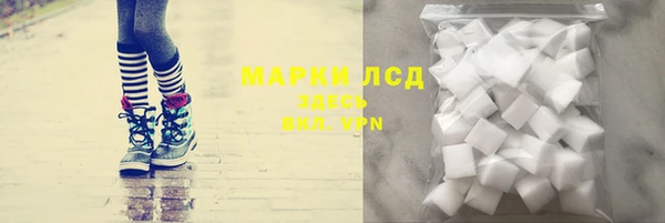 мдпв Магас