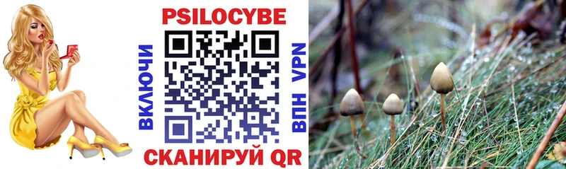 Купить закладки  Нижнеудинск  Галлюциногенные грибы Magic Shrooms 